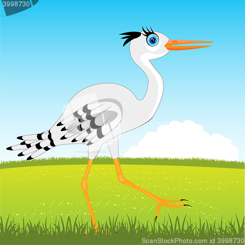 Image of Stork on glade