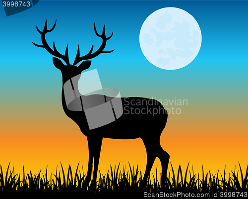 Image of Silhouette of the deer on glade