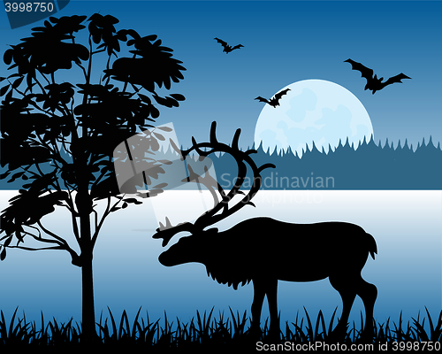 Image of Reindeer beside lake