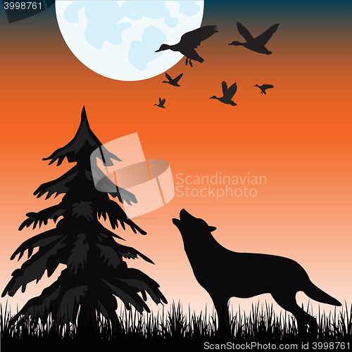 Image of Wolf in wood