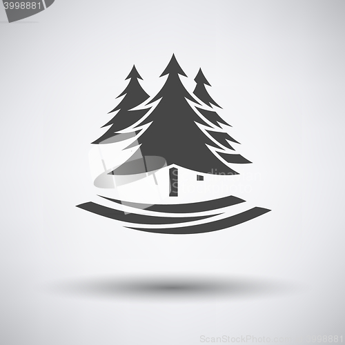 Image of Fir forest  icon