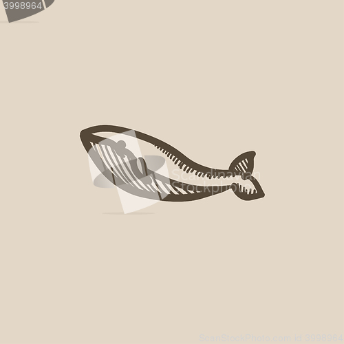 Image of Whale sketch icon.