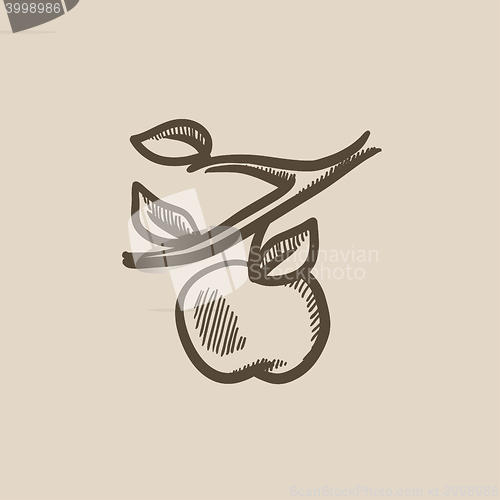 Image of Apple harvest sketch icon.