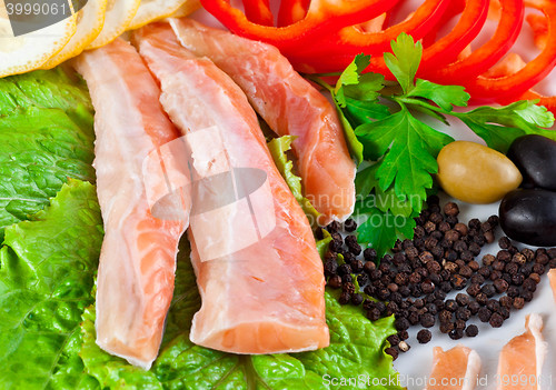 Image of close up red fish