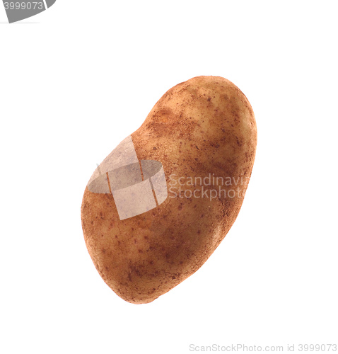 Image of potato isolated on white background close up