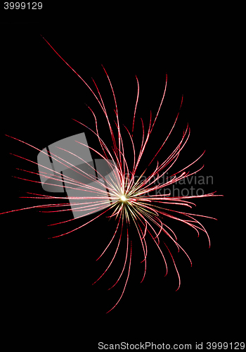 Image of red firework explosion in the night sky