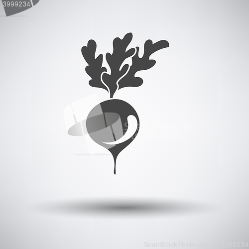 Image of Radishes icon on gray background 