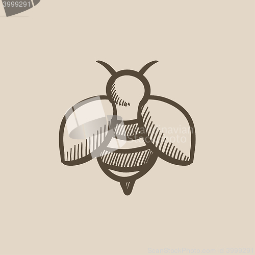 Image of Bee sketch icon.