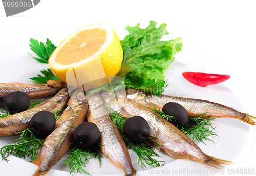 Image of anchovies on white background