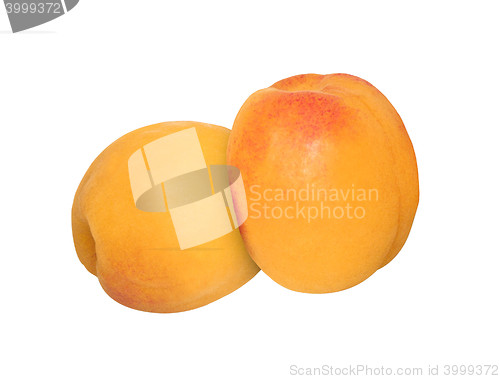 Image of Apricots isolated on a white background