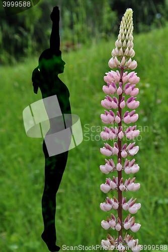 Image of Woman with lupine in yoga position