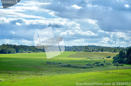 Image of beautiful summer landscape 