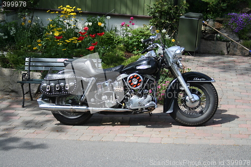 Image of Harley-Davidson