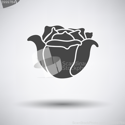 Image of Cabbage icon on gray background