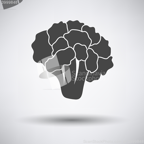 Image of Cauliflower icon on gray background
