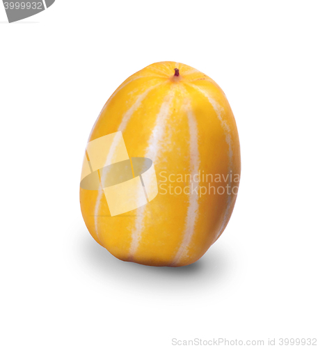 Image of melon isolated