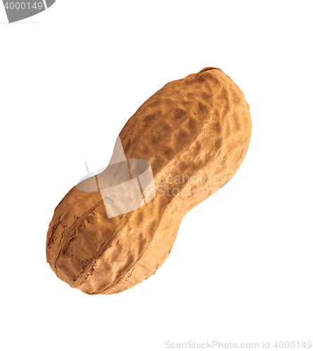 Image of Peanuts isolated