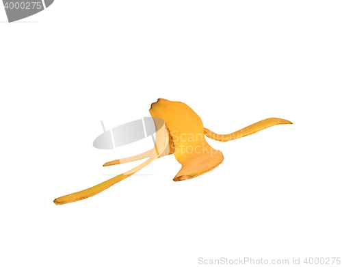 Image of Ripe banana peel isolated on white