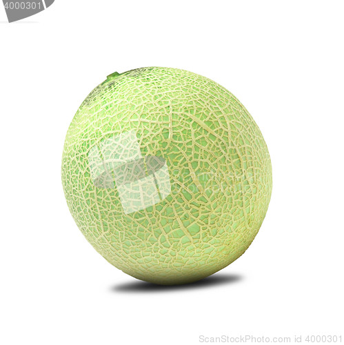 Image of cantaloupe melon