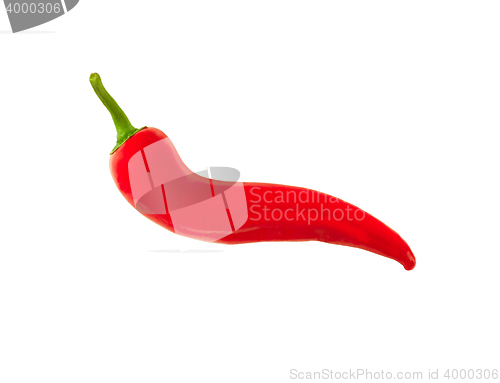 Image of red hot chili pepper isolated on a white background