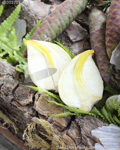 Image of Cloves of garlic