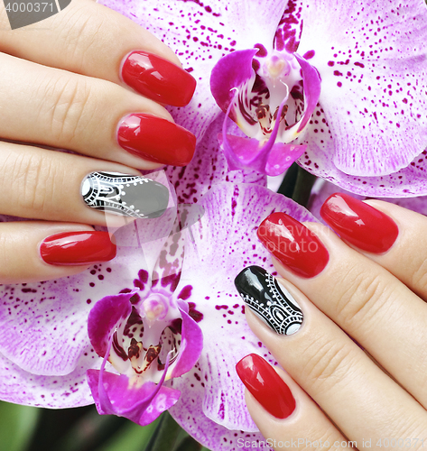 Image of Beautifully manicured fingernails