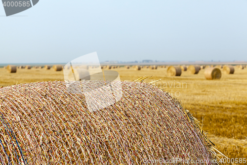 Image of stack of straw in the field