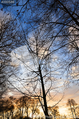 Image of Park at sunset