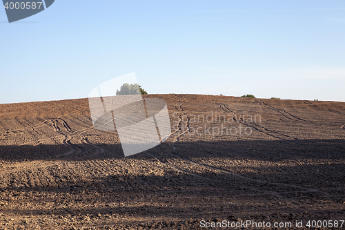 Image of plowed agricultural field