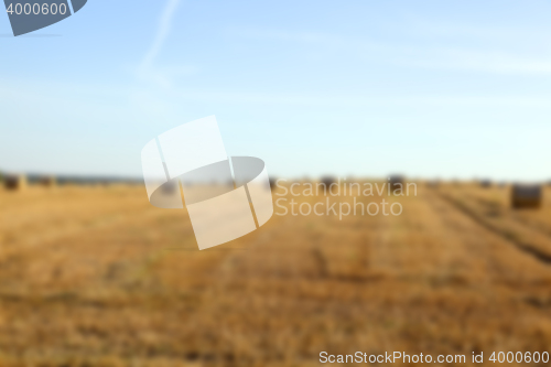 Image of stack of wheat straw