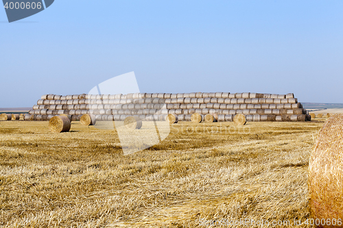 Image of straw in the field