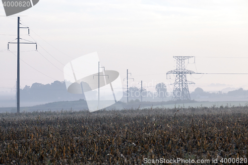 Image of power poles in the field