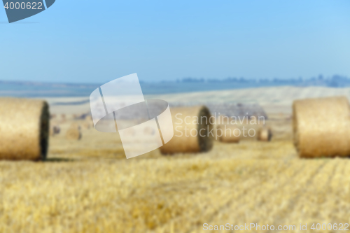 Image of haystacks in a field of straw