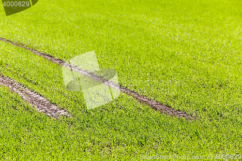 Image of road in a field