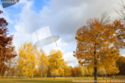 Image of autumn in the park