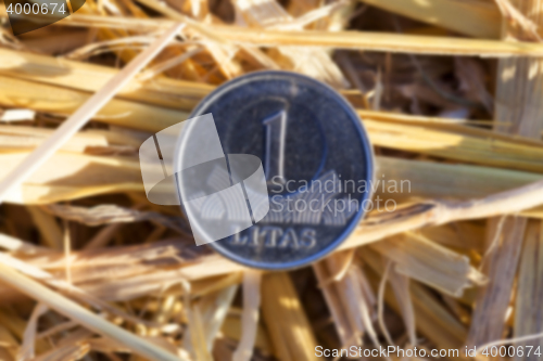 Image of coin in the straw