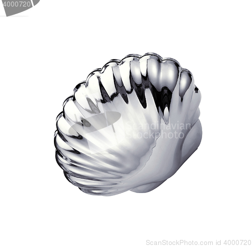 Image of metal shell isolated on white