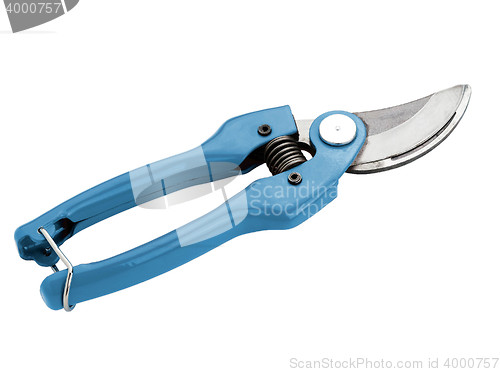 Image of blue garden pruner on the white