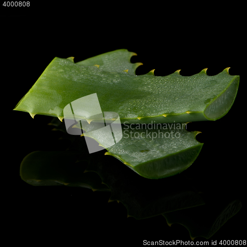 Image of Sliced aloe leaf