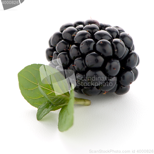 Image of Blackberries with leaves