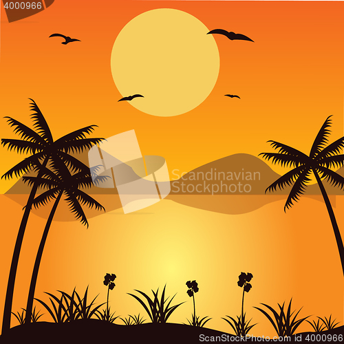 Image of Tropical landscape