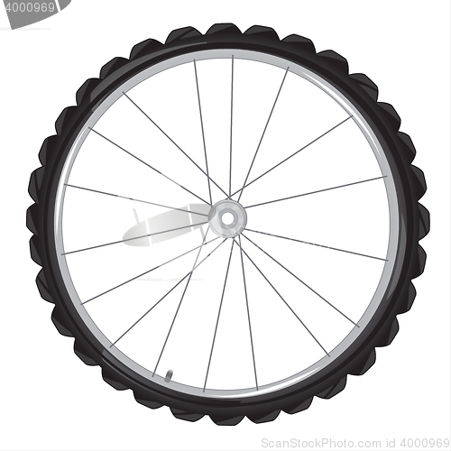 Image of Wheel of the bicycle