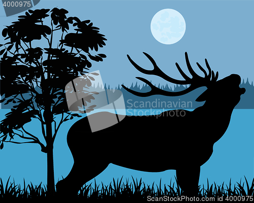 Image of Silhouette of the deer