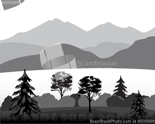 Image of Wild landscape
