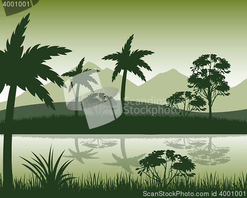 Image of Evening in tropic