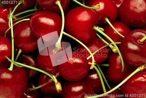 Image of Group of Cherries forming a texture