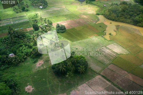 Image of Farm