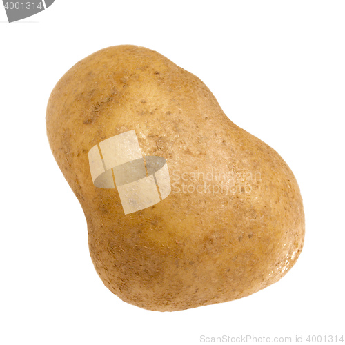 Image of potato isolated