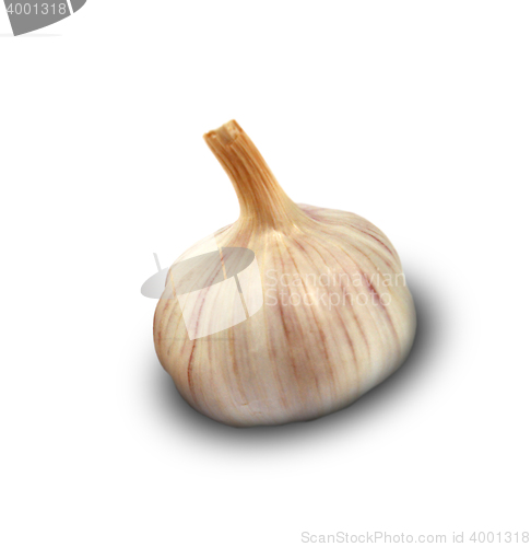 Image of Garlic isolated on white background.