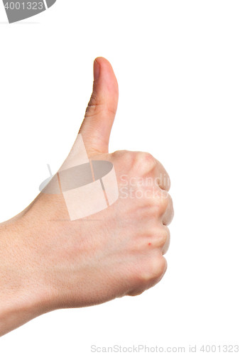 Image of hand with thumb up isolated